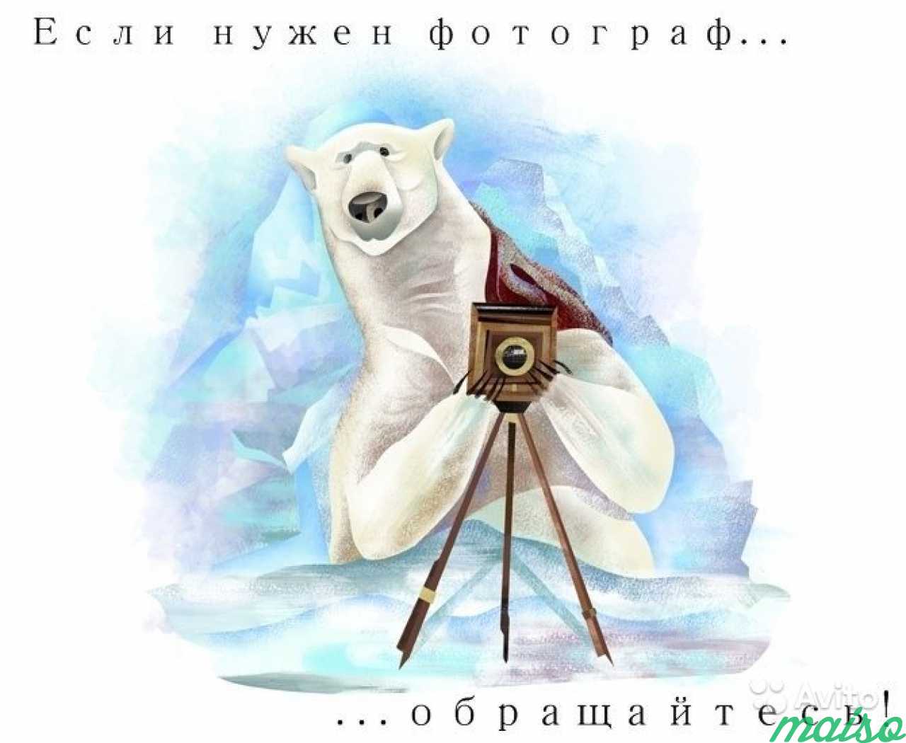 Белый медведь иллюстрация