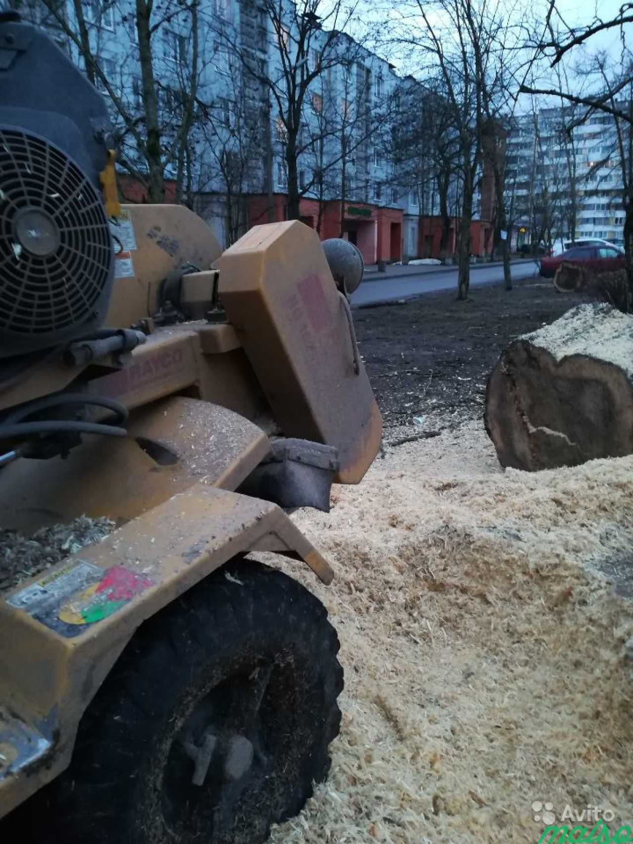 Валка, спил деревьев, удаление пней в Санкт-Петербурге. Фото 2