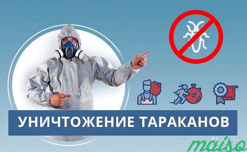 Уничтожение клопов, тараканов, дезинфекция в Москве. Фото 1