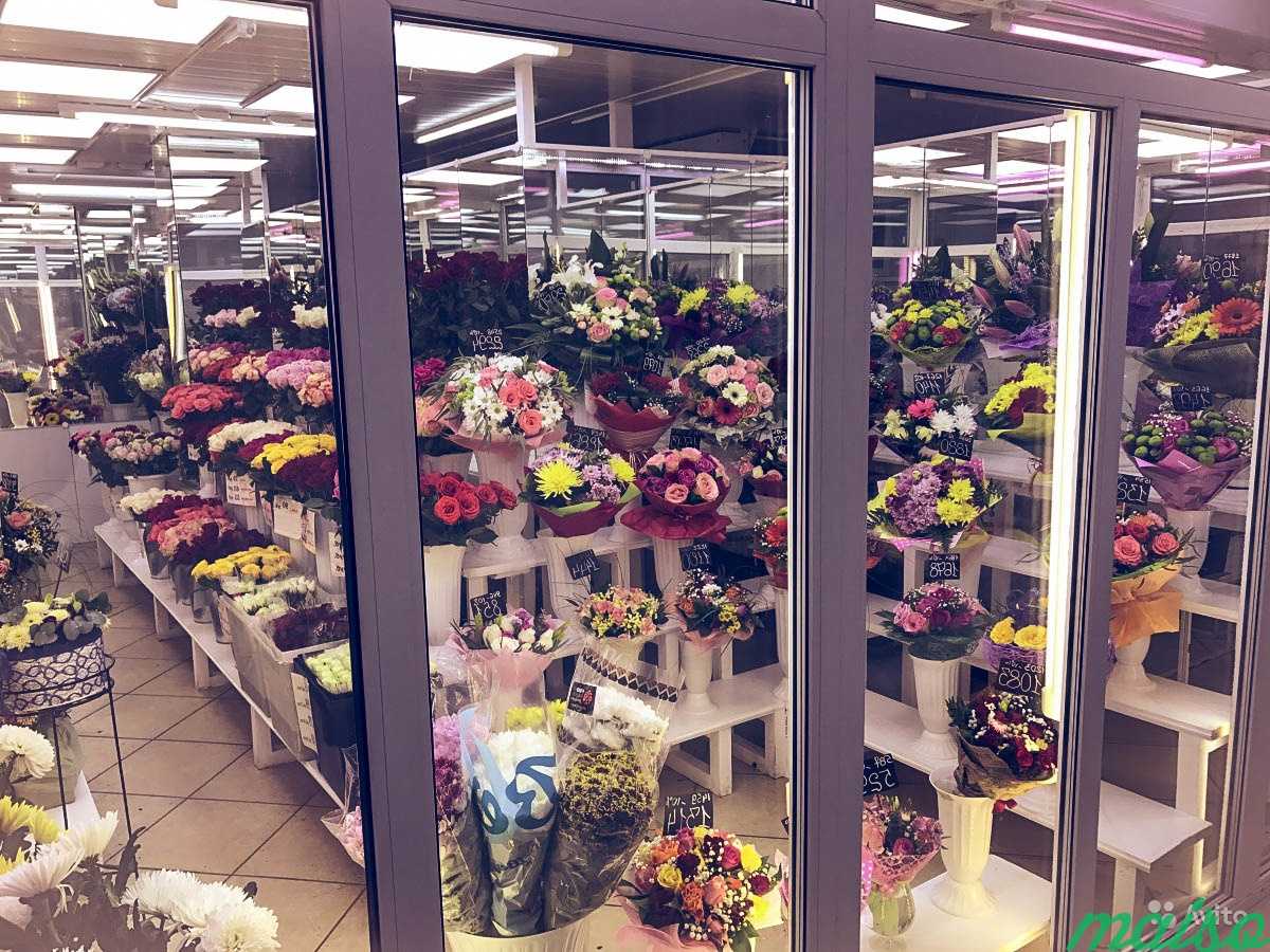 Купить или заказать холодильную камеру для цветов в Москве. Фото 2