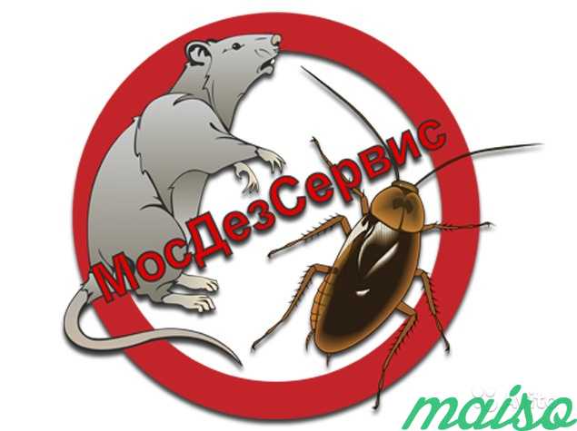 Уничтожение насекомых, грызунов, бактерий, запахов в Москве. Фото 1