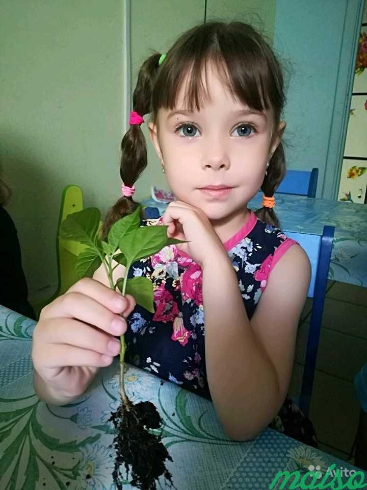 Детский ясли-сад. не В квартире в Москве. Фото 3