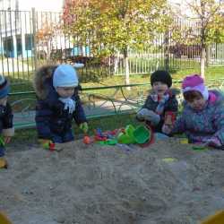 Домашний детский сад, Кенгурята