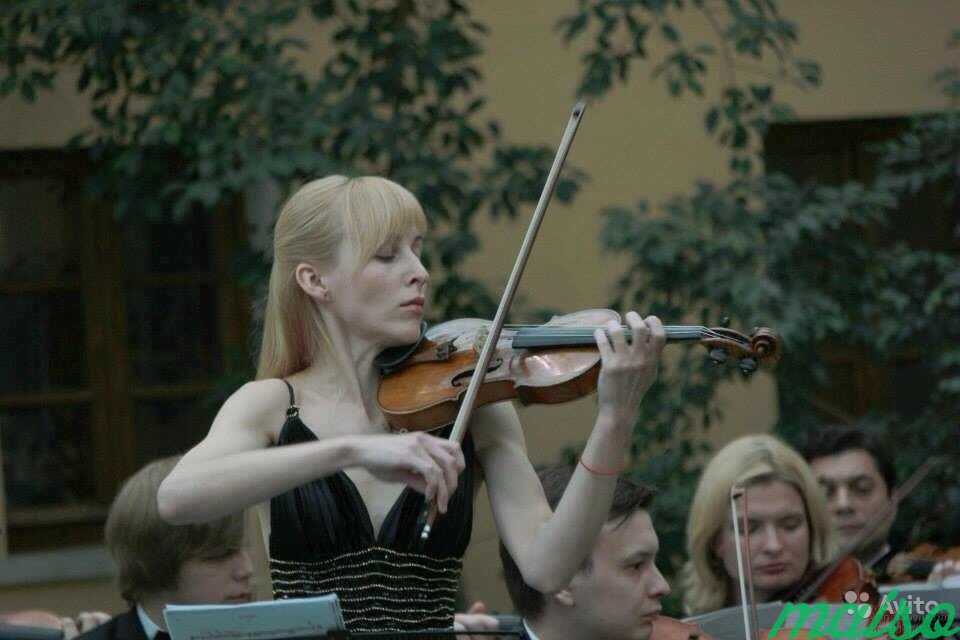 Уроки скрипки в Москве. Фото 1