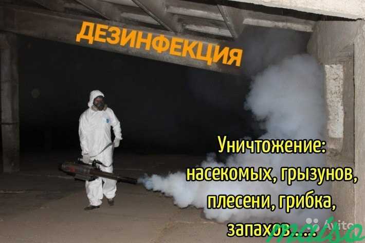 Уничтожения насекомых и грызунов в Москве. Фото 2