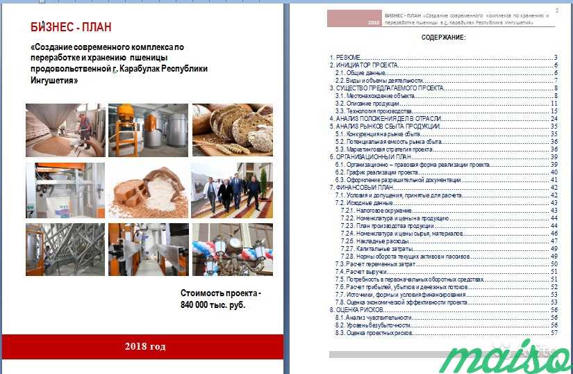 Разработка бизнес - плана с фин. моделью. тэо в Москве. Фото 1