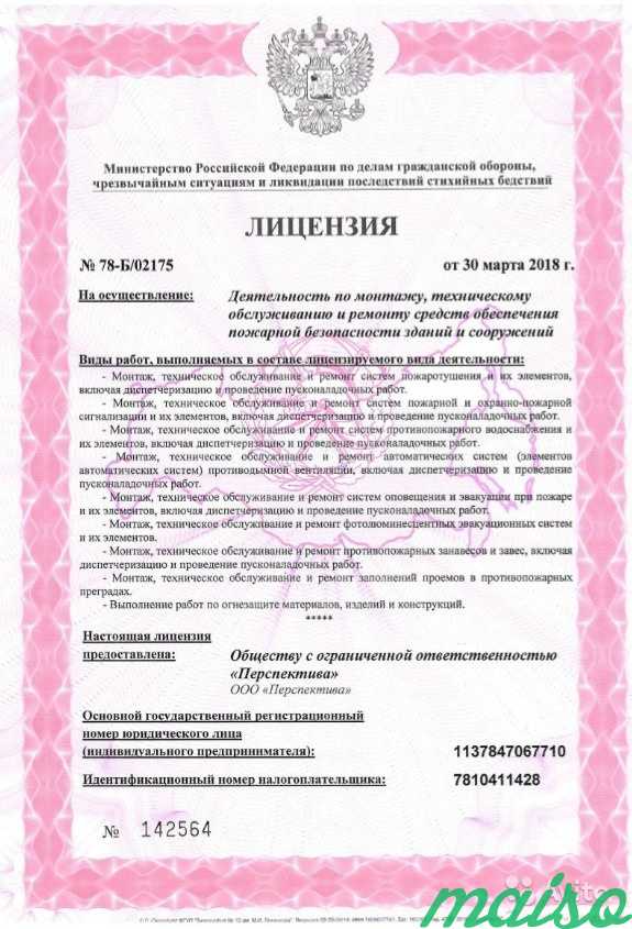 Лицензия мчс под ключ в Москве. Фото 1