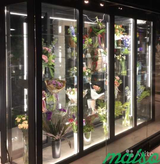 Витрина камера стеклянная холодильная для цветов в Москве. Фото 3