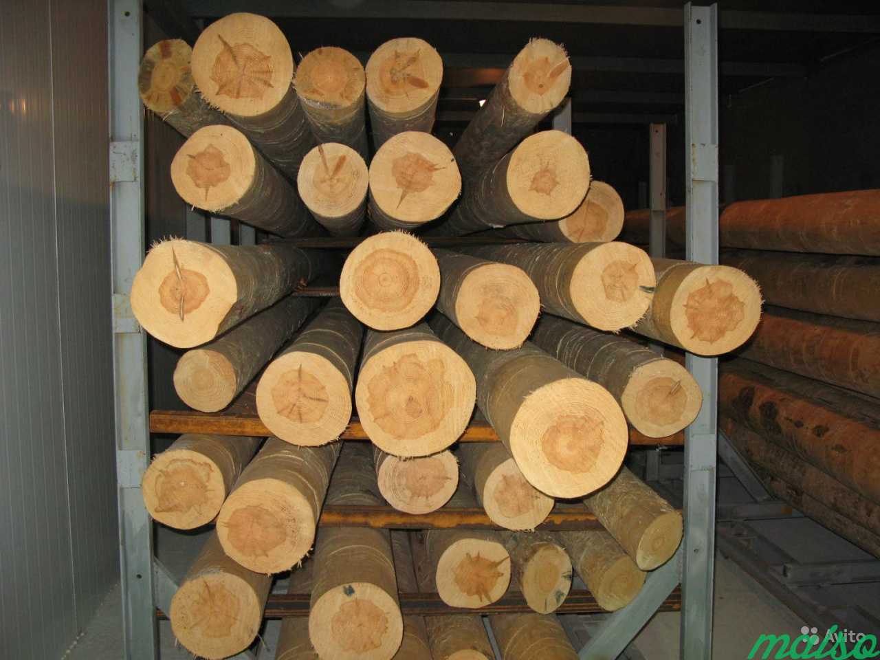 Автоматика для сушильных камер (древесина, чага.) в Москве. Фото 1