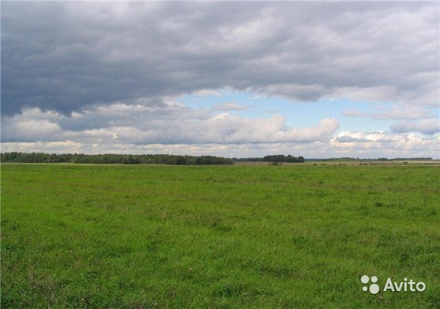 Продам участок 23.6 га , земли сельхозназначения (СНТ, ДНП) , Можайское шоссе , 10 км до города в Москве. Фото 1
