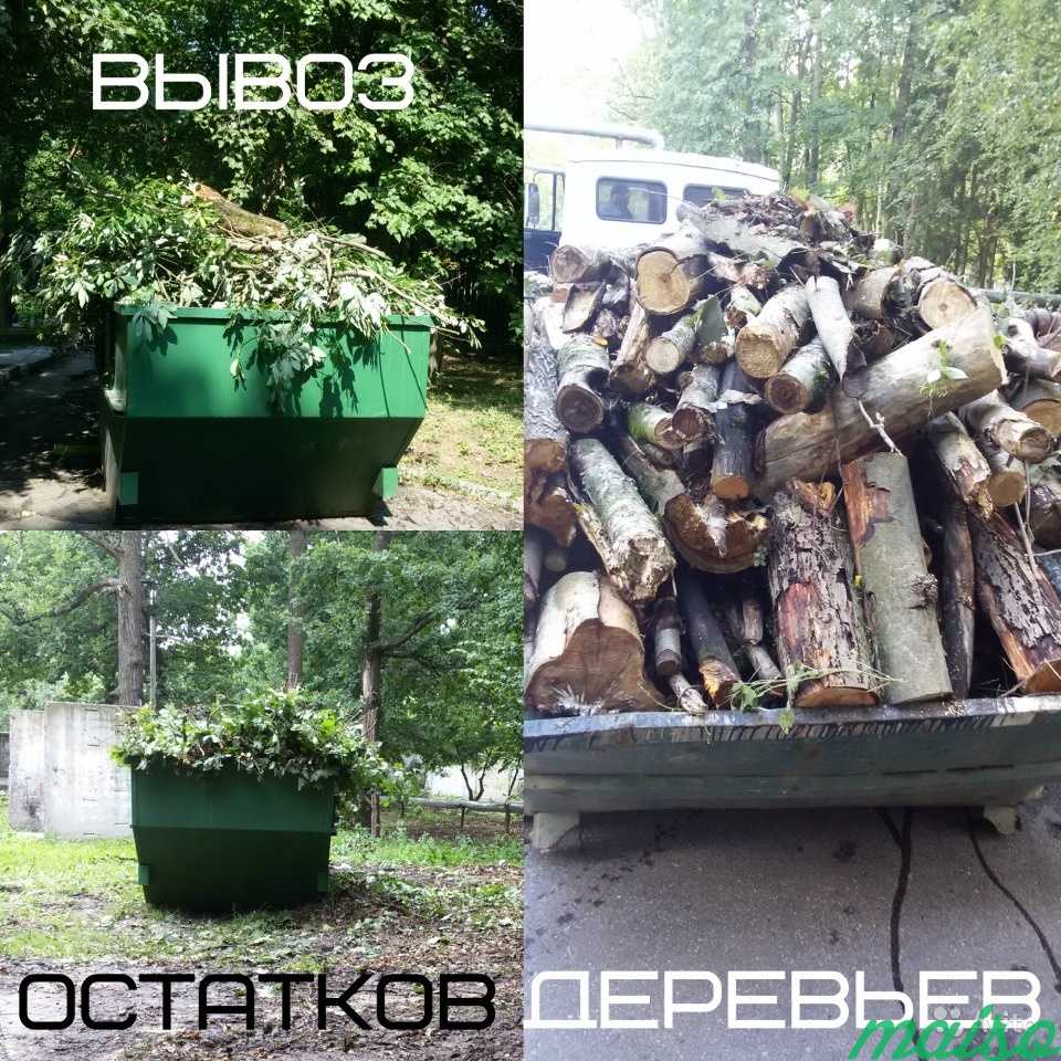 Спилить дерево. Удаление вырубка деревьев в Москве. Фото 2