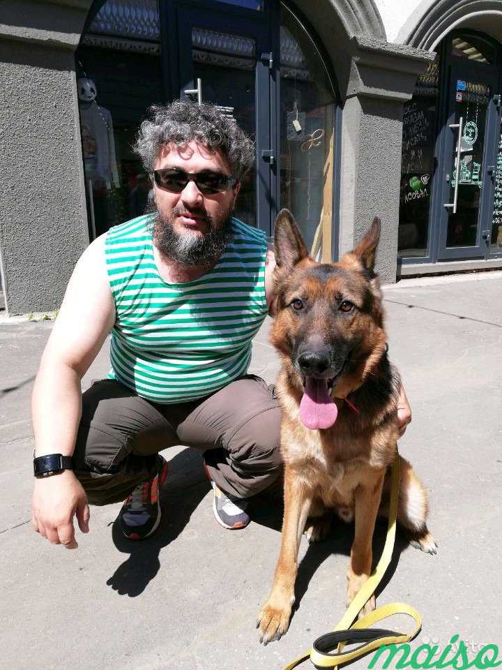 Опытный кинолог, дрессировка собак в Москве. Фото 1