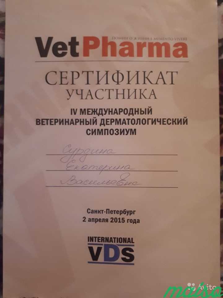 Ветеринарный врач на дом в Москве. Фото 4