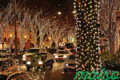 Подсветка, декоративное освещение деревьев спайдер в Москве. Фото 1