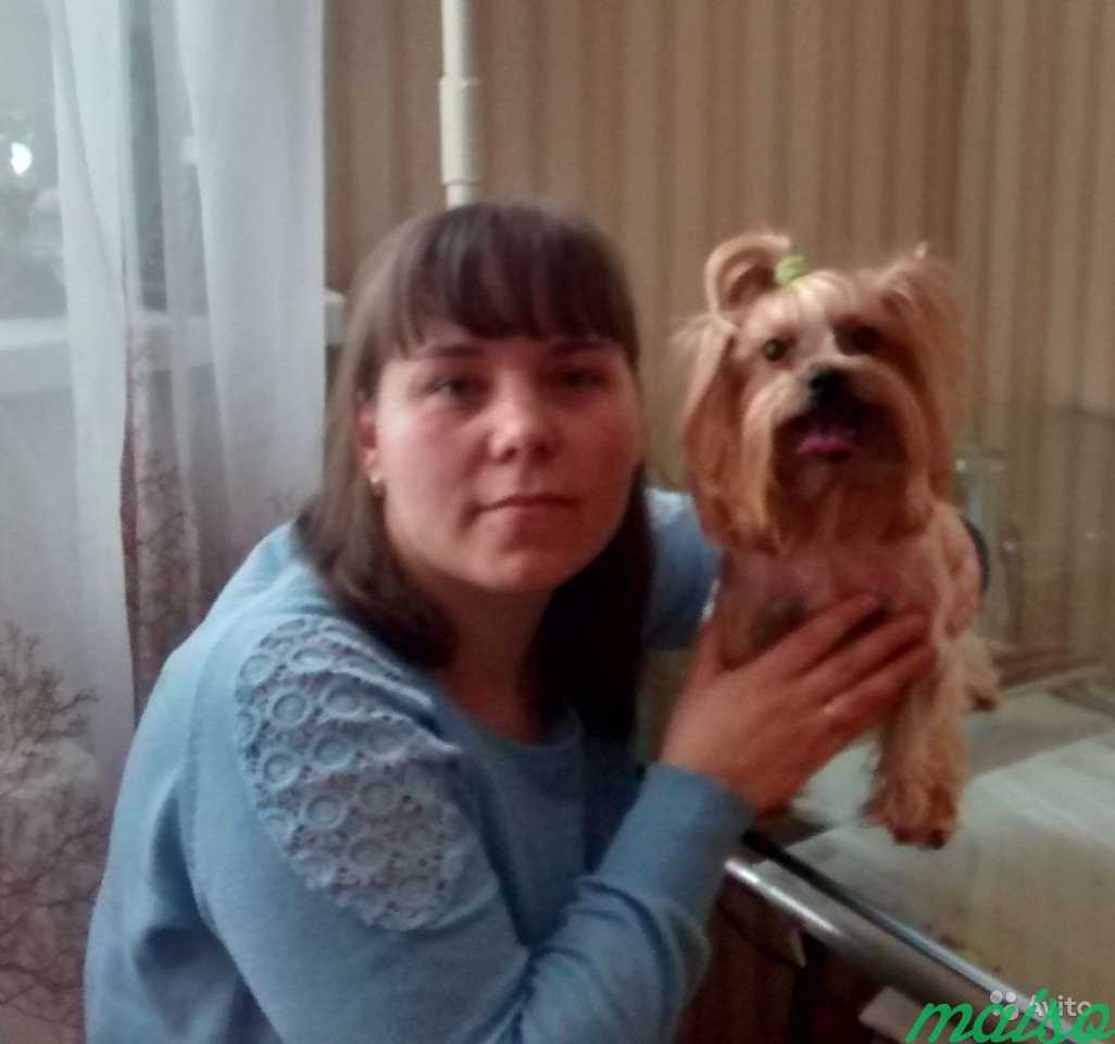 Ветеринарный врач на дом. Стрижка животных в Москве. Фото 3