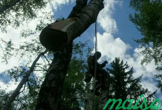 Спилить Удалить Срубить дерево в Москве аккуратно в Москве. Фото 10