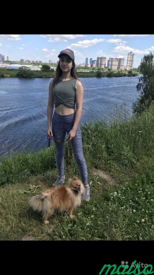 Выгул собак (район Строгино) в Москве. Фото 3