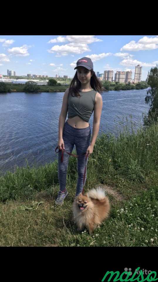 Выгул собак (район Строгино) в Москве. Фото 5