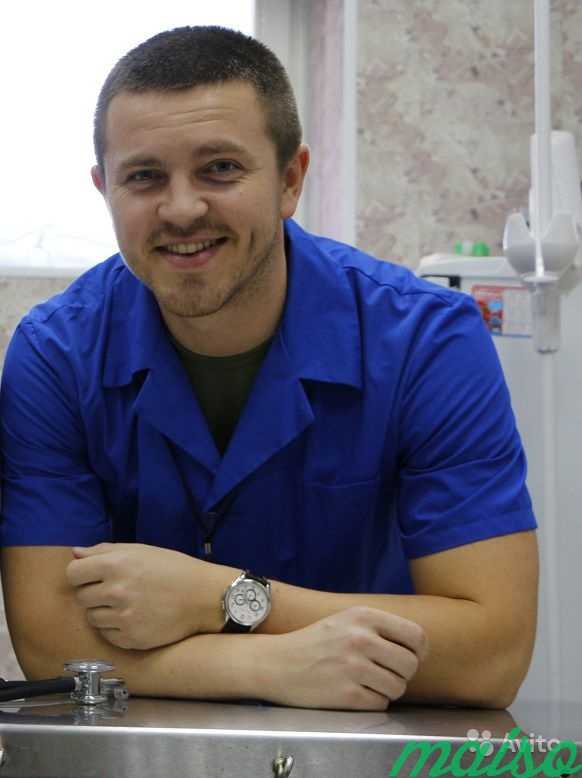 Частный ветеринарный врач в Москве. Фото 1