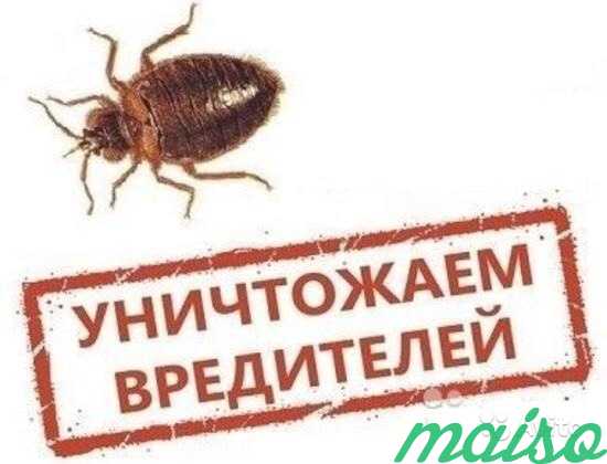 Уничтожение тараканов клопов плесени сорняков в Москве. Фото 1