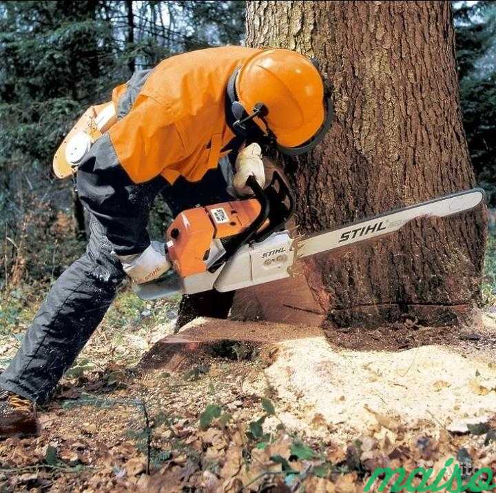 срубить дерево на участке разрешение