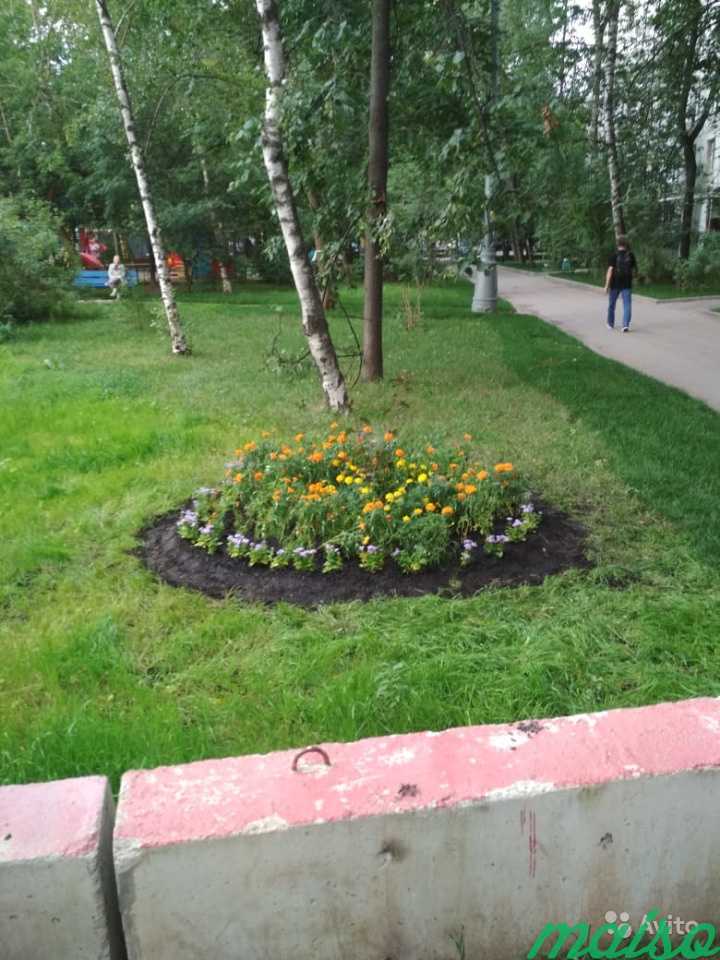 Благоустройство, устройство газонов в Москве. Фото 3