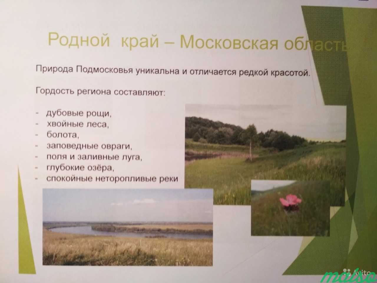 Презентациии и проекты школьникам 1-8 класс в Москве. Фото 4