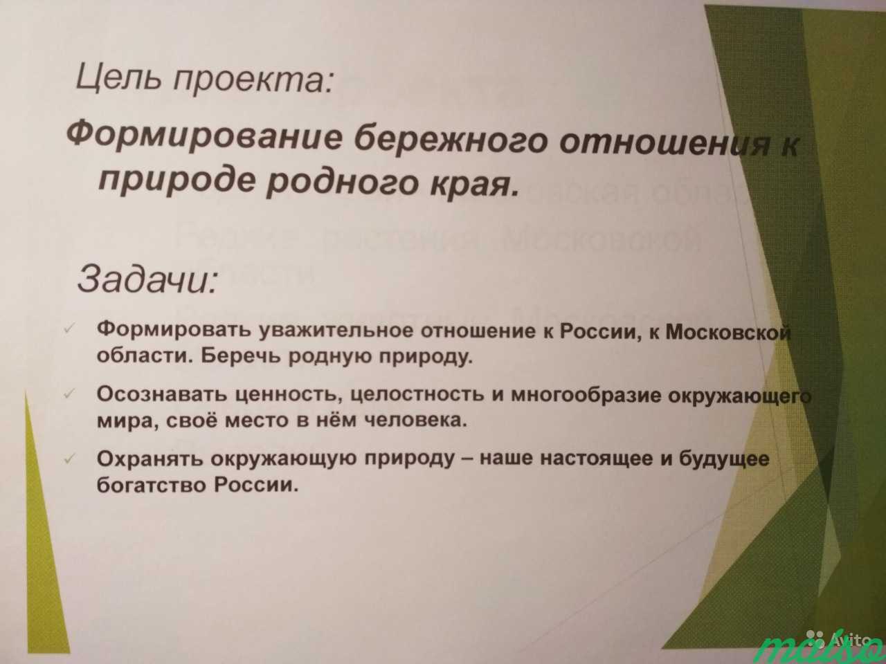 Презентациии и проекты школьникам 1-8 класс в Москве. Фото 3