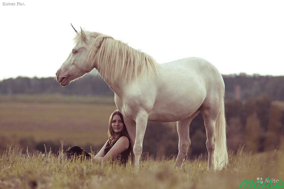 Фотосессия с лошадьми/пони в Москве. Фото 4