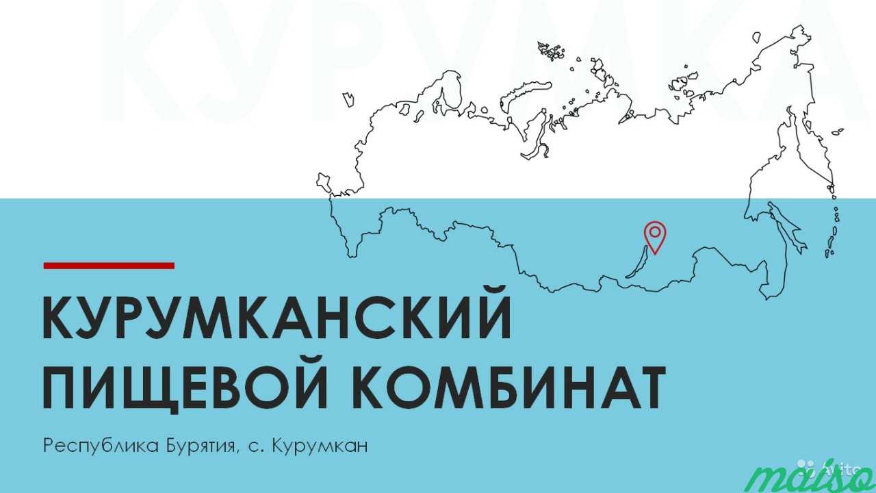 Качественная инфографика и презентации в Москве. Фото 5