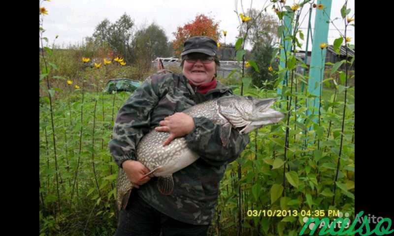 Рыбалка и охота в Карелии в Москве. Фото 2