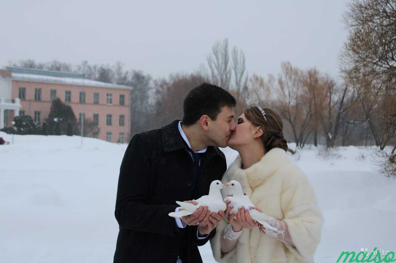 Голуби на свадьбу в Москве. Фото 3