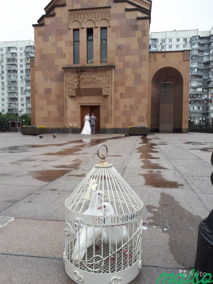 Голуби на свадьбу в Москве. Фото 1