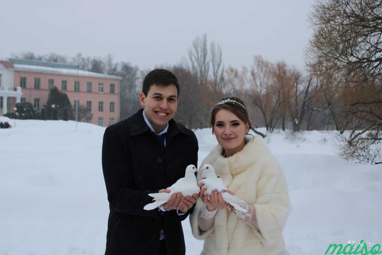 Голуби на свадьбу в Москве. Фото 2
