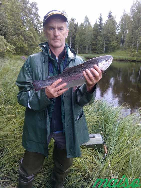 Рыбалка в финляндии в Москве. Фото 7
