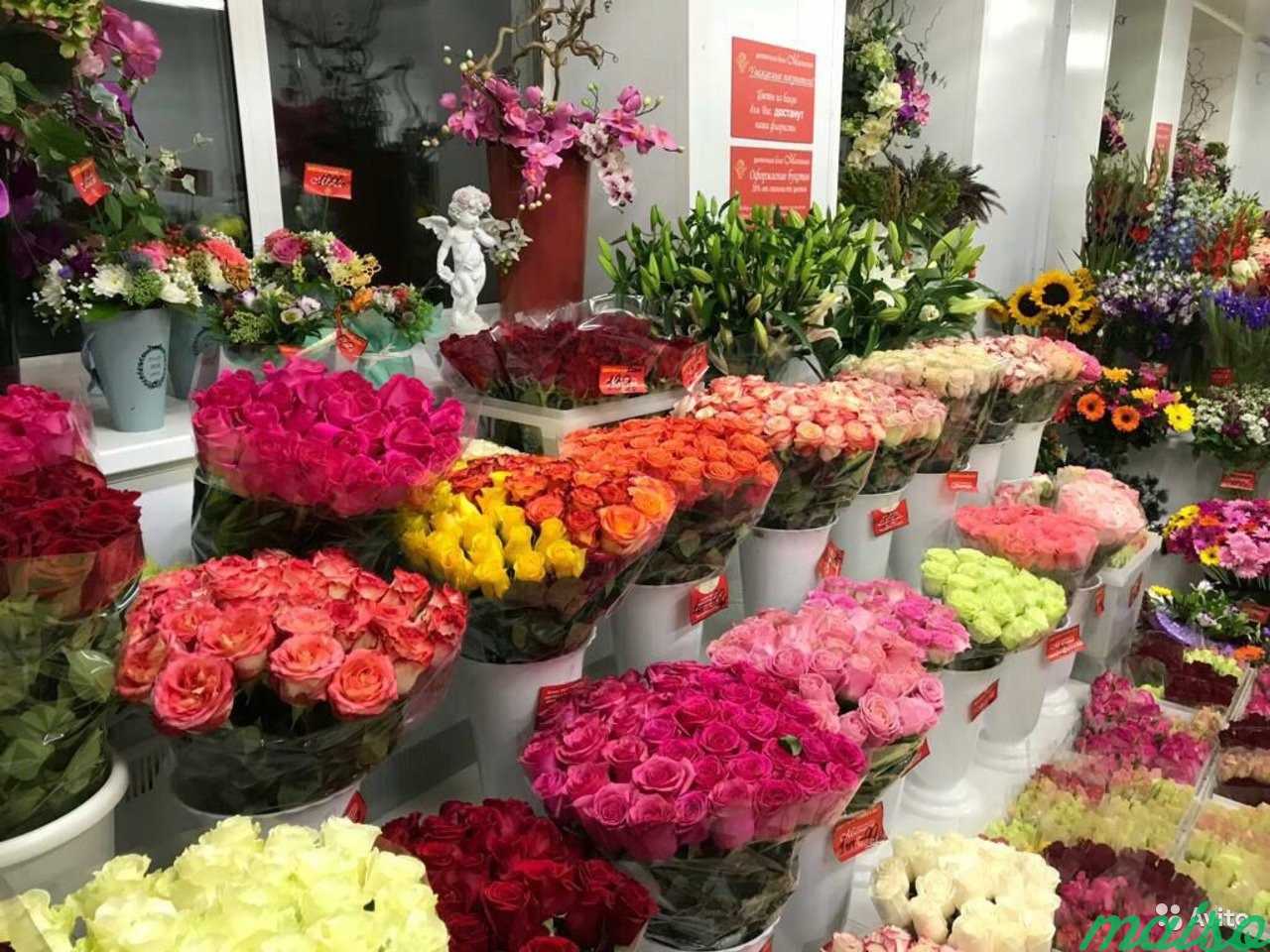 Доставка цветов недорого цветочная база. Склад цветов. Магазин цветов. Оптовая база цветов. Оптовый склад цветов.