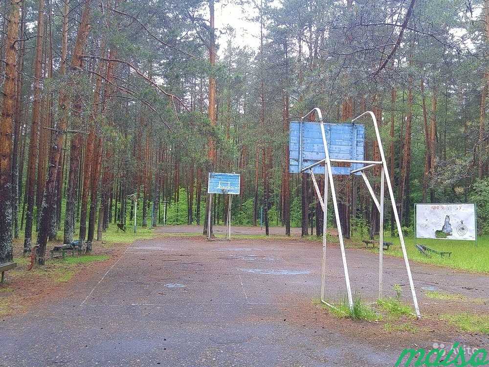 База отдыха в Нац. парке в Москве. Фото 4