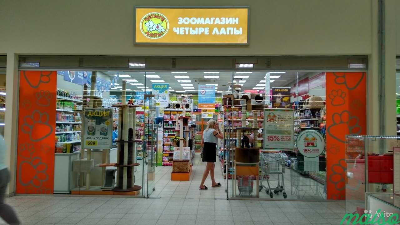 Арендный бизнес в Москве в Москве. Фото 1