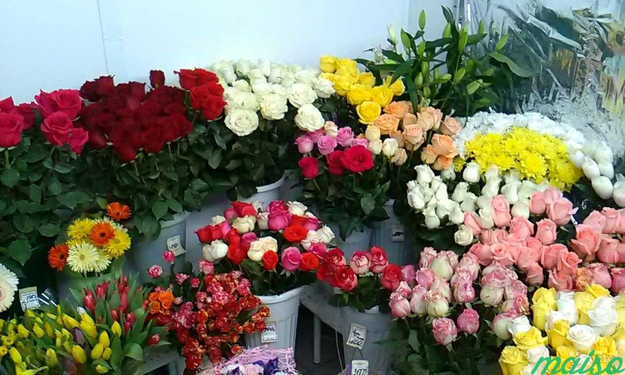 Салон цветов в Москве. Фото 3