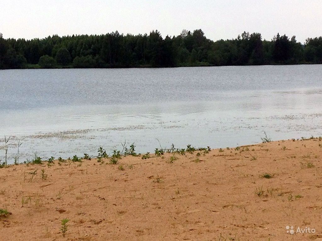 Верхнерузское водохранилище. Верхнерузское водохранилище пляж. Пляжи на Верхнерузском водохранилище. Шаховская водохранилище. Пляжи Шаховской район.