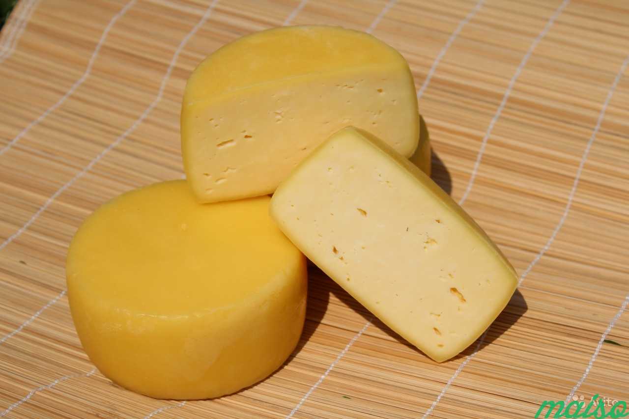 Купить сыр на авито
