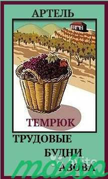 Вакуум-сусло красного винограда для 35 л вина в Москве. Фото 1