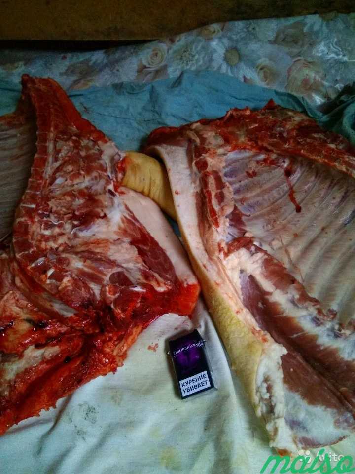 Мясо свинина в Москве. Фото 1