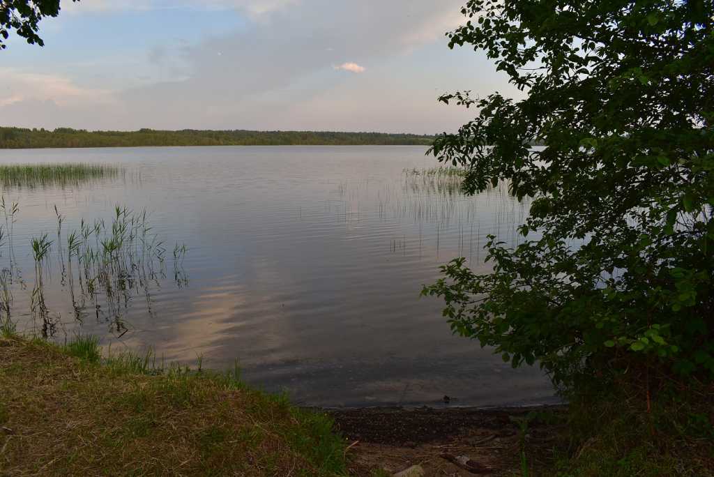 Продам земельный участок в Нижнем Новгороде. Фото 1