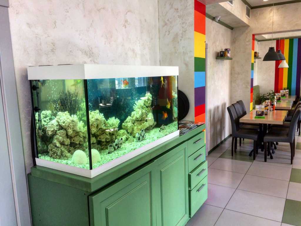 Украшение интерьера аквариумом. в Ульяновске. Фото 3