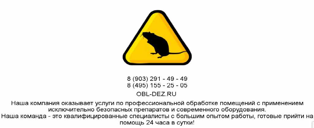 Уничтожение клопов,тараканов,мышей,крыс. в Москве. Фото 4