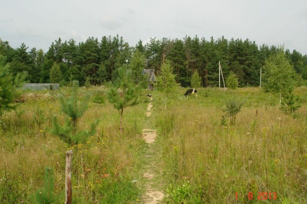 20га земли в 250 км от Москвы (для фермерского хозяйства) в Калуге. Фото 2