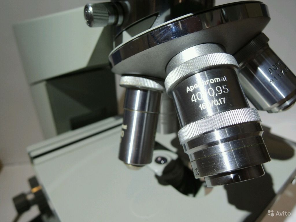 Немецкий микроскоп Carl Zeiss Jena Amplival в Москве. Фото 1