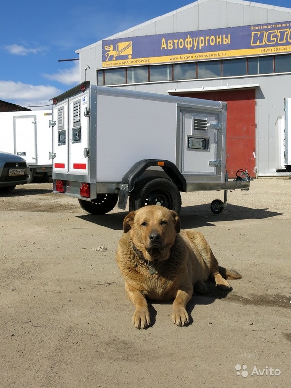 Прицеп для перевозки собак и животных в Москве. Фото 1